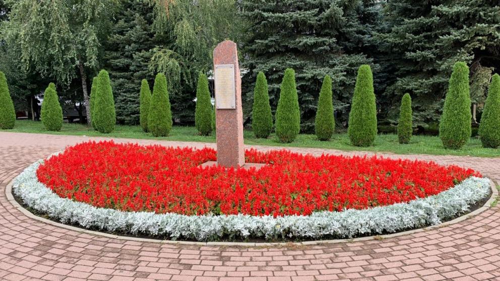 На клумбах Ставрополя более 300 тысяч алых цветов составили символы Победы