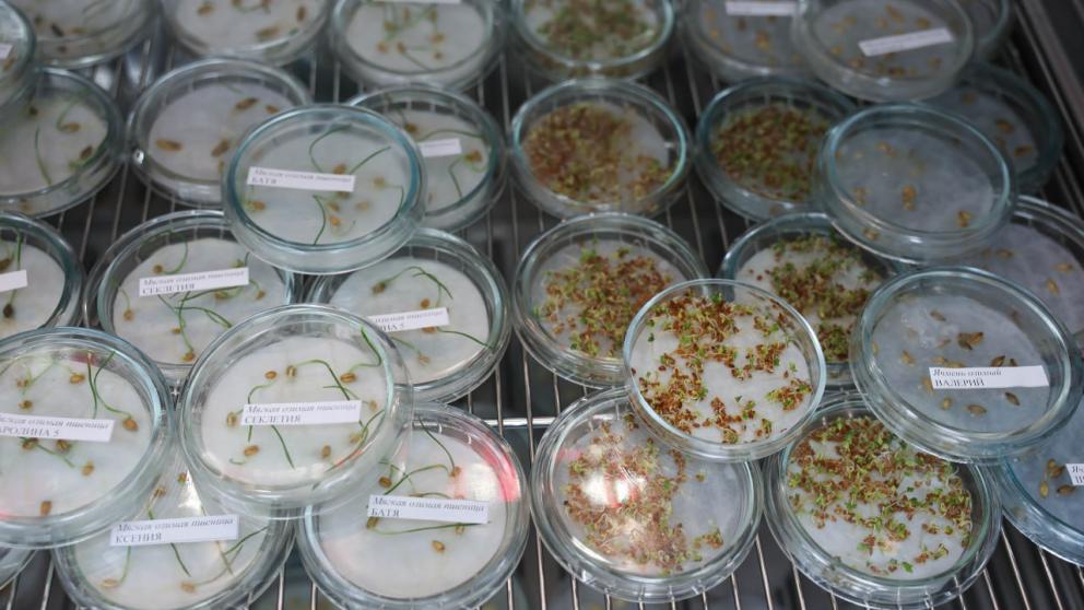 Ставропольский вуз активизирует проекты для продовольственной безопасности страны