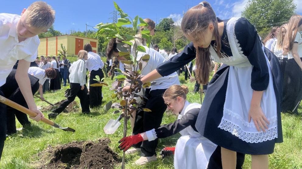 Аллею выпускников создали в Кисловодске