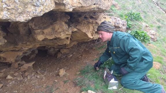 На Ставрополье началась вакцинация от бешенства в дикой фауне