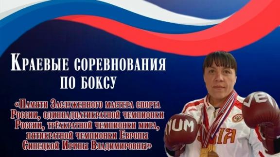 Турнир по боксу памяти Ирины Синецкой стартует на Ставрополье