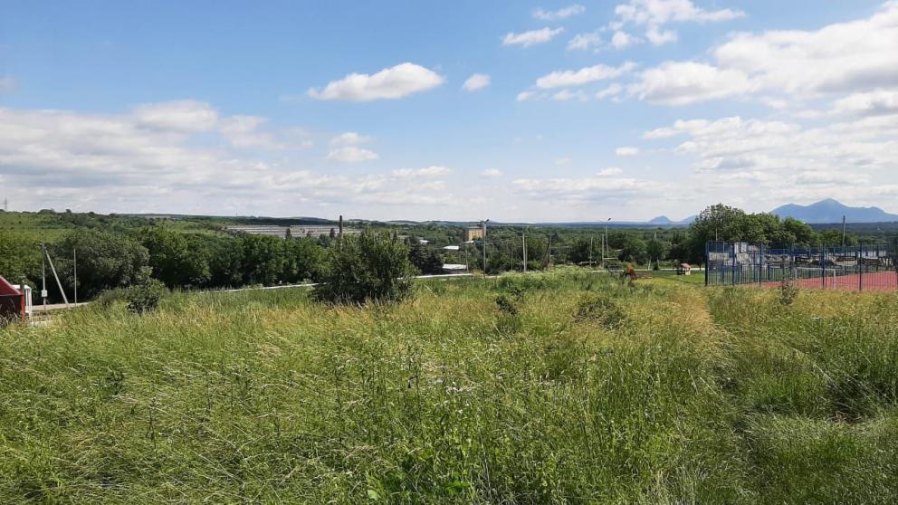 В Ясной Поляне появится современный парк отдыха