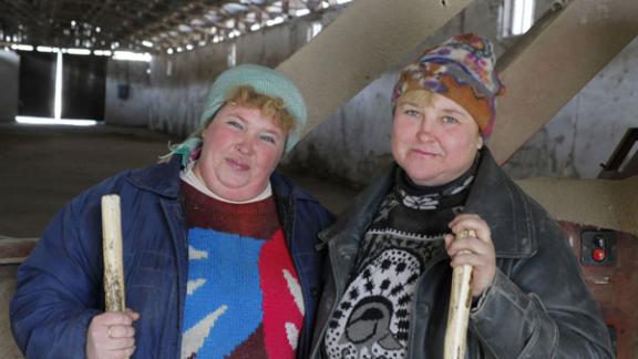 Разнорабочим на селе скучать не приходится