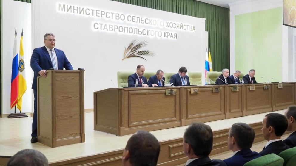Итоги и перспективы развития животноводства обсудили в минсельхозе Ставрополья