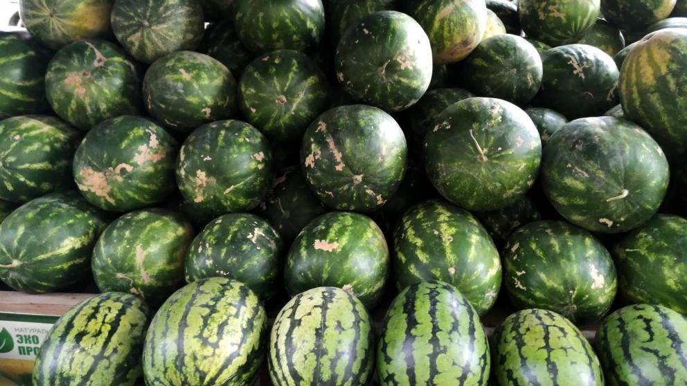 Ставропольский фермер рассказал, как выбрать самый вкусный арбуз