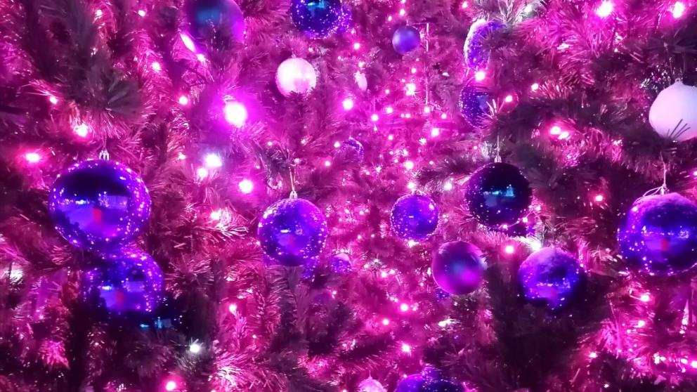 Депутаты Ставрополья поздравляют медиков с наступающим Новым годом