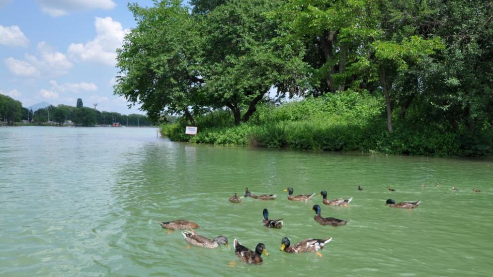 Ессентукское озеро готово к купальному сезону