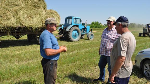 Аграрии Ставрополья полностью обеспечены семенами отечественной селекции
