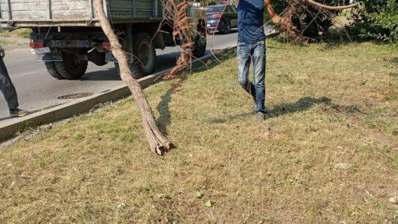 В Предгорном округе Ставрополья собрали 30 тонн мусора