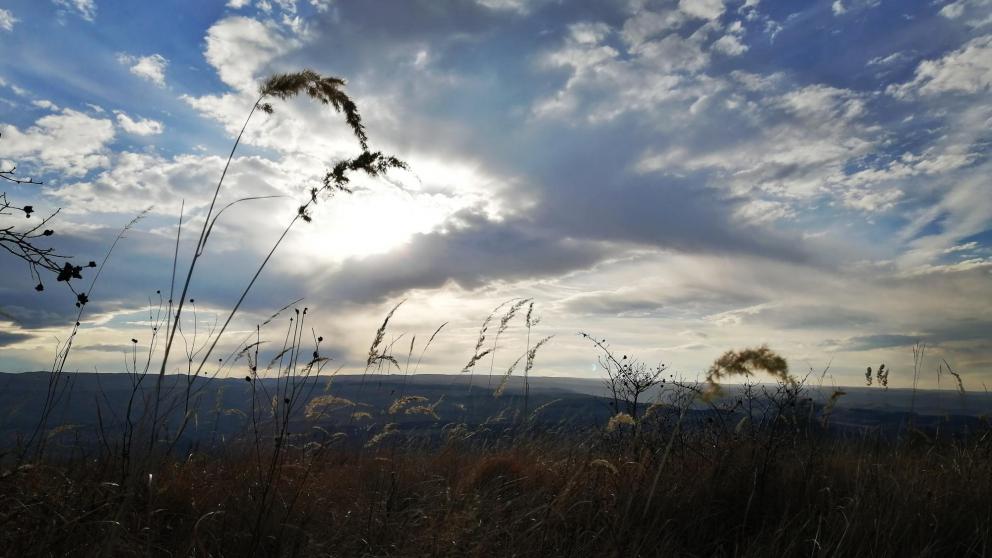Губернатор Владимиров: Выставка «Россия» помогает лучше узнать Ставрополье