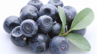 Английский инвестор вложит 2 млрд рублей в производство ставропольской черники