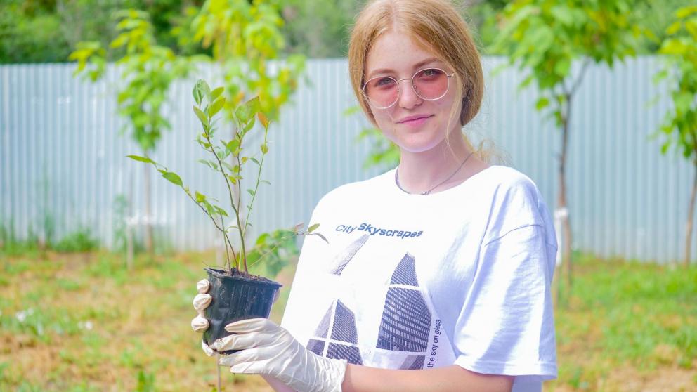В невинномысском «Кванториуме» осваивают микроклональное размножение растений