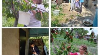 Юные социальные волонтеры Предгорного округа помогают пожилым землякам