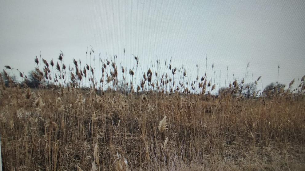 В реке Егорлык на Ставрополье нашли тело девушки