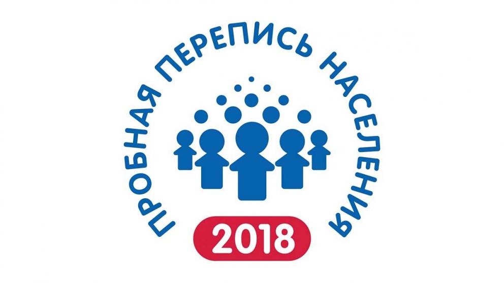 Пробная электронная перепись населения проводится в России