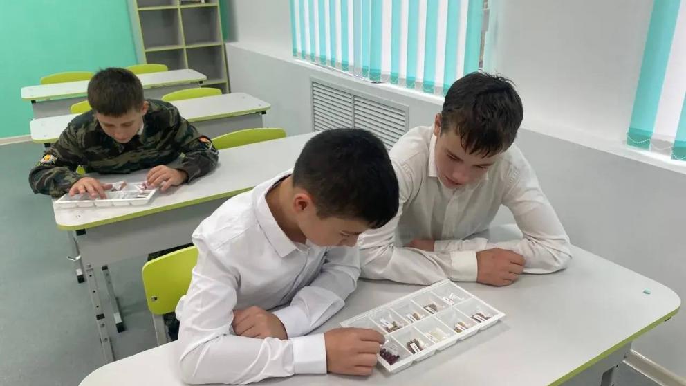 В школах Апанасенковского округа Ставрополья открыли пять новых агроклассов