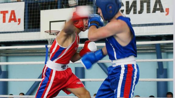 Межрайонный турнир по боксу прошел в селе Летняя Ставка