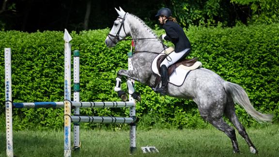 Соревнования по конкуру в честь 70-летия Победы прошли в парке Победы Ставрополя