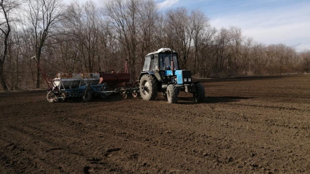 Ставропольский край завершил сев гороха