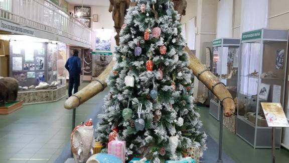 Ставропольский край – участник федеральной новогодней акции