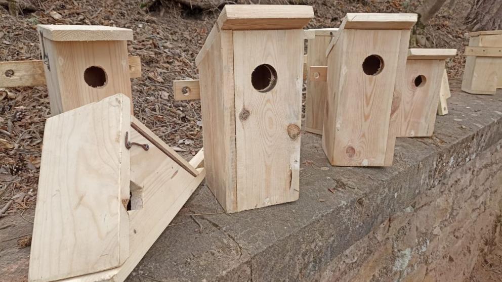 Дети Кисловодска установили несколько десятков новых скворечников