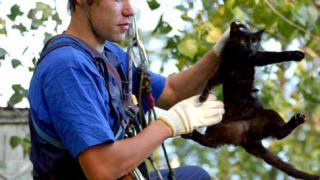 Ставропольские спасатели приходят на помощь не только людям, но и животным