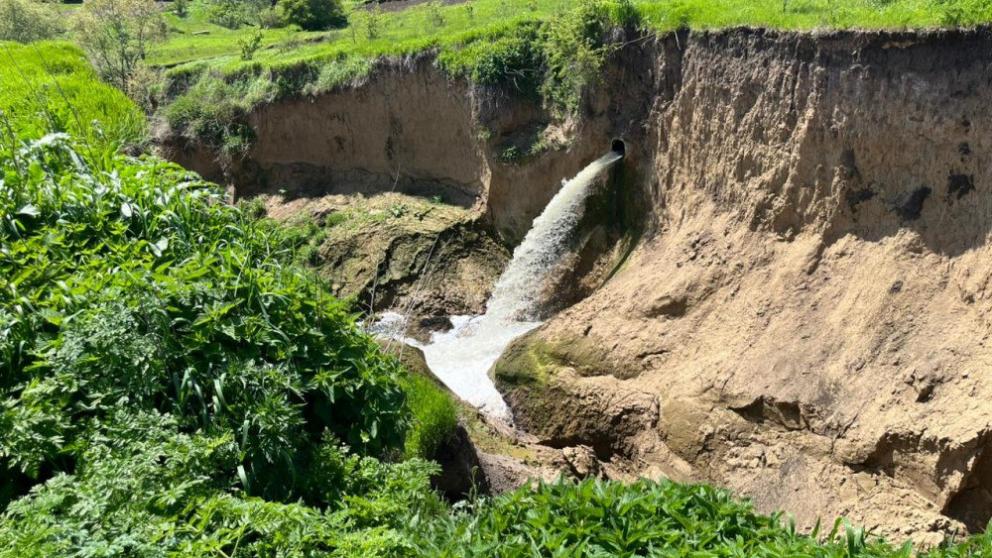 В Грачёвском округе Ставрополья ищут виновных в гибели рыбы