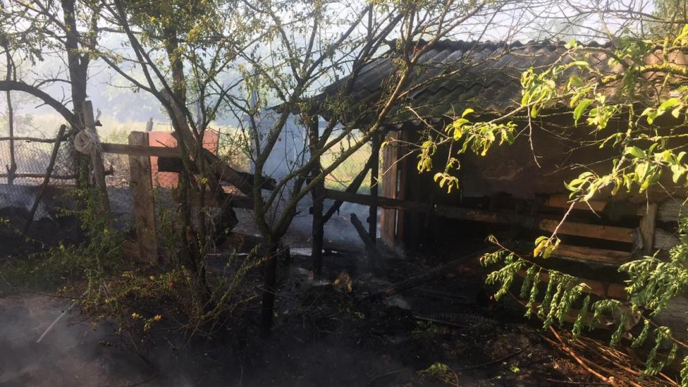 Телёнок и домашняя птица едва не сгорели на пожарах в крае