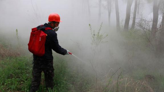 Ставропольские леса охраняют от пожаров