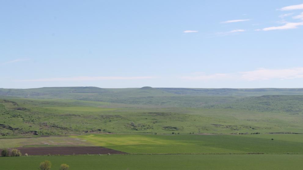 На Ставрополье аграрии завершают сев яровых культур