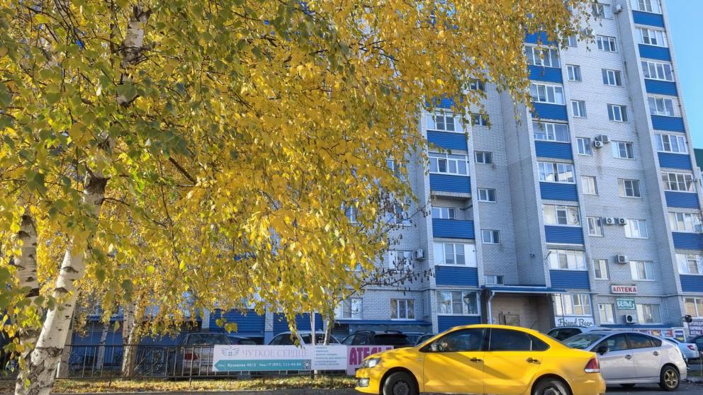 Эксперты ставропольского вуза оценили последствия новой методики расчета утилизационного сбора