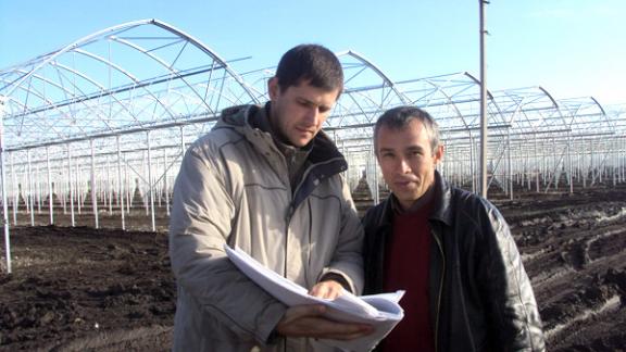 Инвестпроект по строительству тепличного комплекса реализуется в станице Марьинской