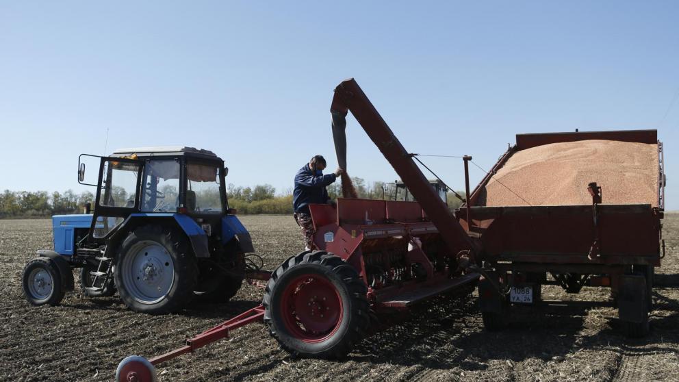 Господдержка аграриев и детей-сирот на Ставрополье будет продолжена