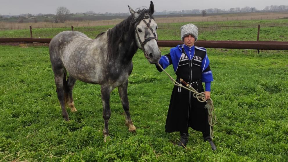 Ставропольским казакам за спасение детей подарили по жеребцу