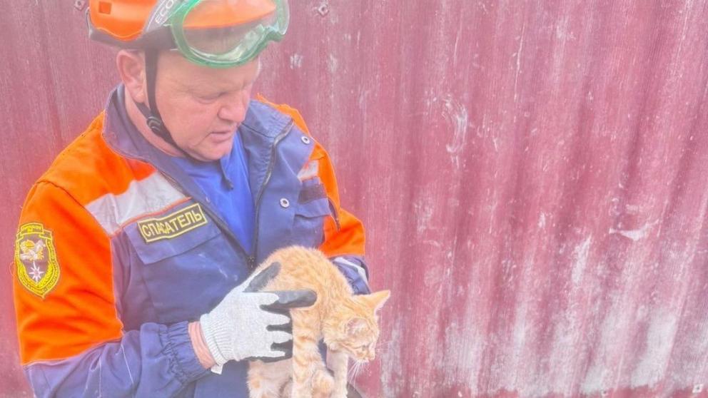 В Красногвардейском округе Ставрополья спасатели вытащили котёнка из колодца