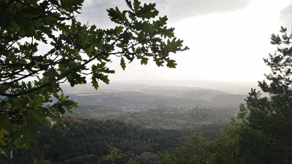 В Кисловодске полицейские помогли 79-летнему мужчине, потерявшему сознание в лесу