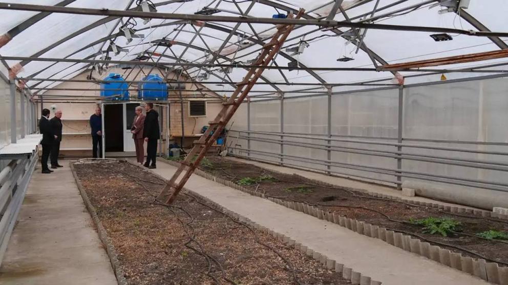 Подготовку кадров для АПК в Кочубеевском округе ведут со школьной скамьи