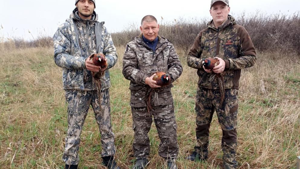 Численность фазанов на Ставрополье превышает отметку в 36 тысяч особей