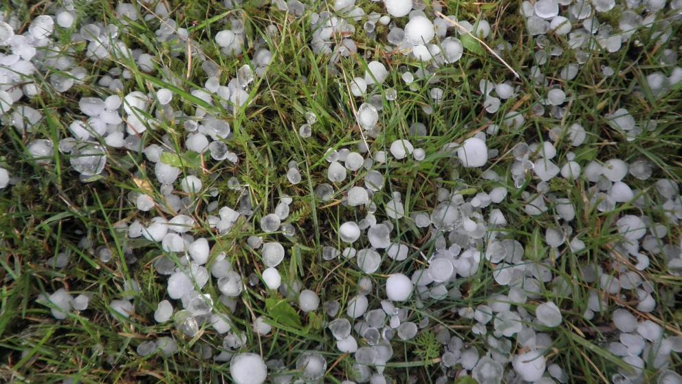 На Ставрополье сильный град повредил 13 тысяч гектаров посевов