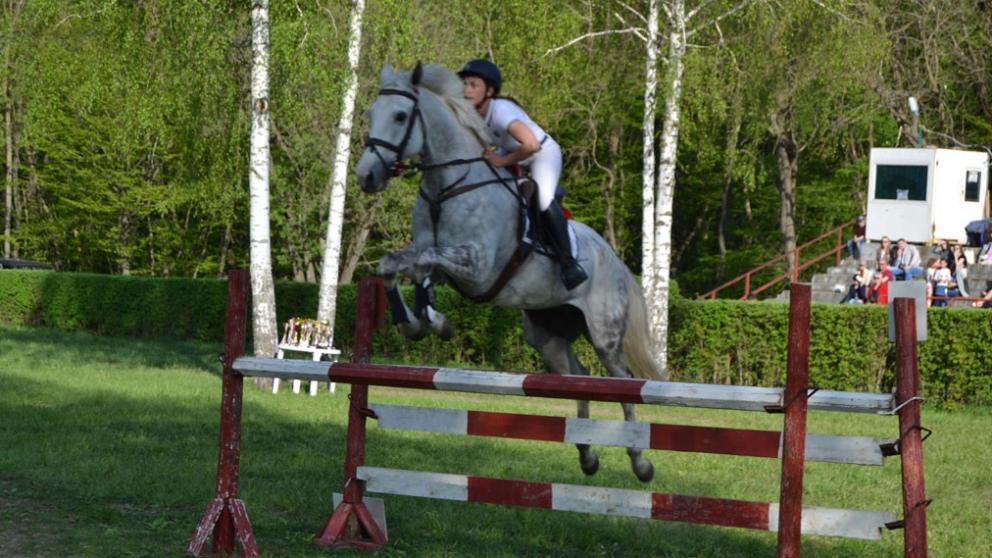 В Ставрополе соревнования по конкуру приурочили к юбилею Промышленного района