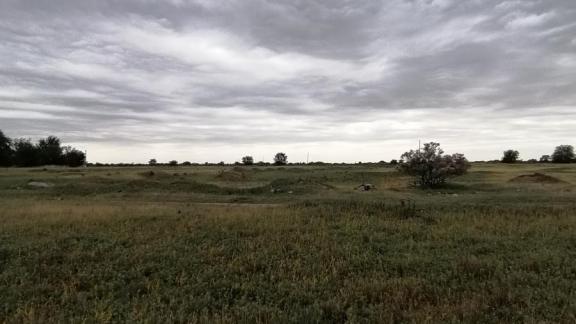 В Ставрополе за счёт опашки снизили площадь ландшафтных пожаров