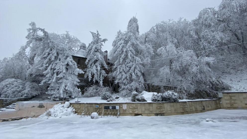 В Железноводске о падении деревьев будут предупреждать специальные таблички