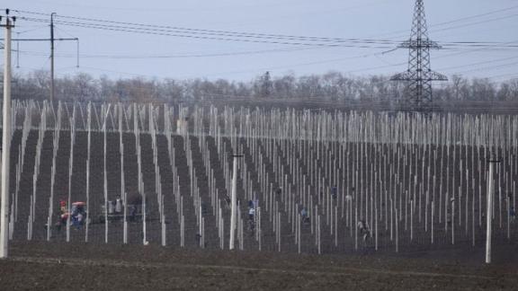 На Ставрополье увеличивают площадь применения биоземледелия