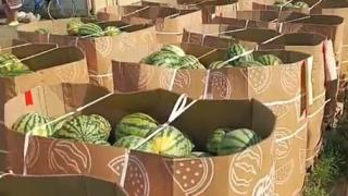 В храмах Ольгинского благочиния на Ставрополье прошла благотворительная акция по раздаче арбузов