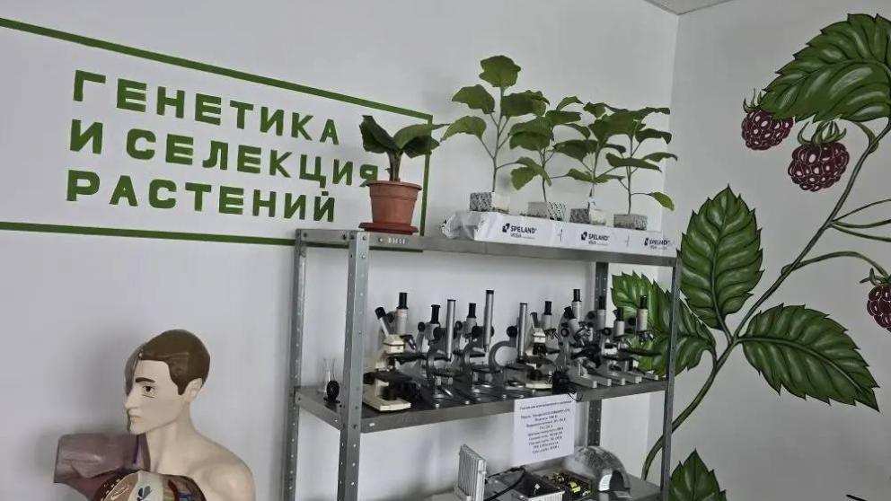 Юные аграрии Кировского округа Ставрополья выращивают баклажаны