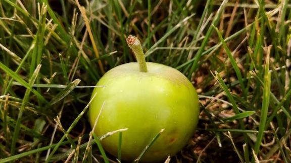 Комитет по пищевой и перерабатывающей промышленности Ставрополья заключил соглашение с крупными компаниями