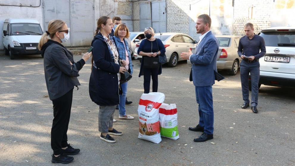 На Ставрополье могут учредить программу грантов на поддержку приютов для животных
