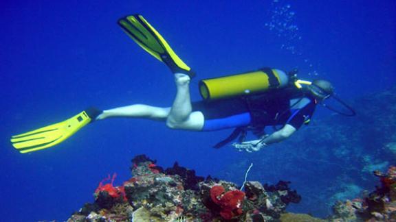 Дайвинг – погружение в новый мир, живущий по своим законам