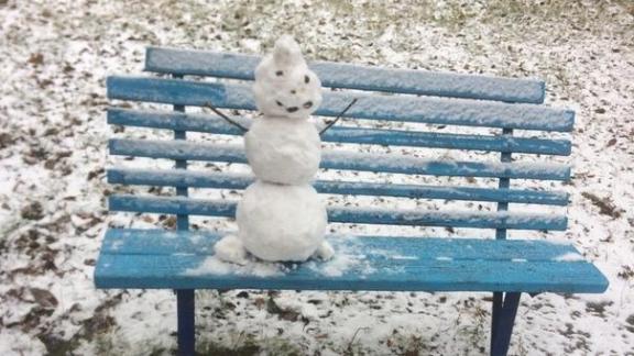 В Ставрополе из первого снега успели слепить снеговика и крысу