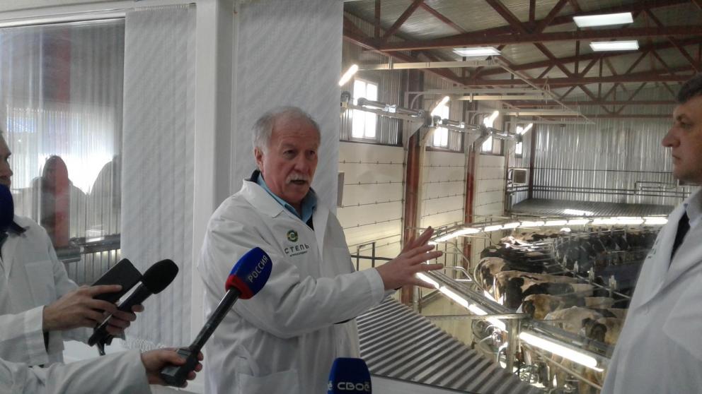 На поддержку молочного животноводства на Ставрополье выделено более 400 млн рублей